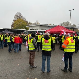 SWEG-Beschäftigte aus ganz Baden-Württemberg versammelten sich am Donnerstag für eine Kundgebung in Lahr.