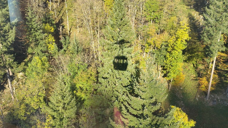 Schatten einer Schauinslandbahn-Gondel schwebt über dem Wald