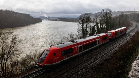 Ein Zug fährt auf der Strecke der Hochrheinbahn zwischen Basel und Erzingen. Im Hintergrund fließt der Rhein.