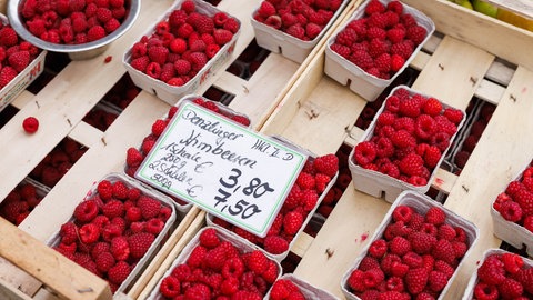 Frische Himbeeren aus der Region stehen in kleinen Schälchen auf dem Freiburger Münsterplatz zum Verkauf. Trotz Herbstwetter mit einstelligen Temperaturen, Nebel und Wind wachsen in der Region Freiburg, die auch "Toskana Deutschlands" genannt wird, noch Himbeeren. 