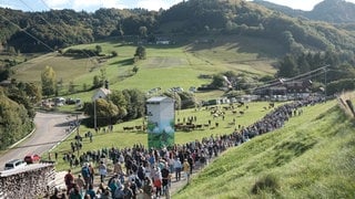 Der Viehabtrieb wird in der Gemeinde Münstertal seit über 30 Jahren gefeiert und lockt jede Menge Schaulustige an.