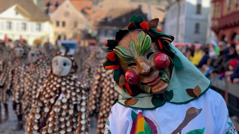 Umzug Fasnacht in Freiburg