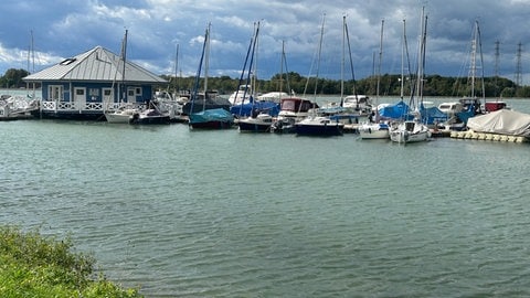 Hier, wo der Yachthafen hin soll, gibt es bereits die Anlegestelle des Wassersportclubs Altenheim. 