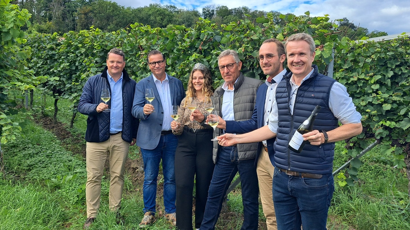 Baden-Württembergs Landwirtschaftsminister zu Gast bei der Herbstpressekonferenz des Badischen Weinbauverbands