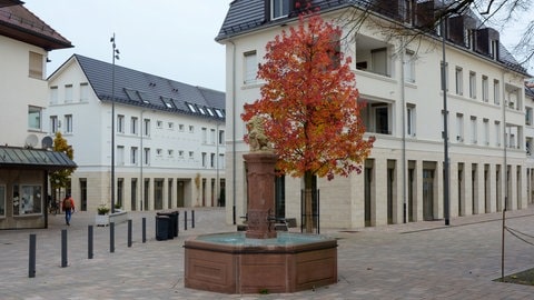 Ein vom Herbst rot-verfärbter Baum neben einem Brunnen in der neuen Ortsmitte von Bad Krozingen