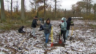 Deutsche und französische junge Leute pflanzen kleine Bäume in einem Wald