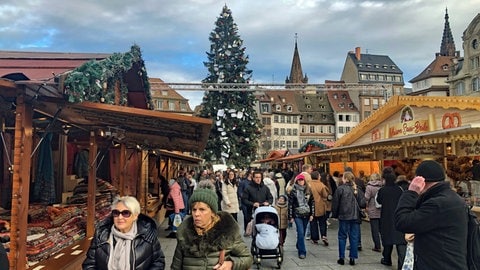 Die große Tanne steht. Der Weihnachtsmarkt in Straßburg ist eröffnet.