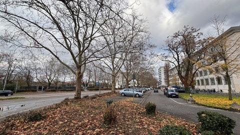 Die Stefan-Meier-Straße in Freiburg. Auf der rechten Seite befindet sich eine Schule, links der Pergolaplatz. Ein Rückzugsort für drogensüchtige Menschen.