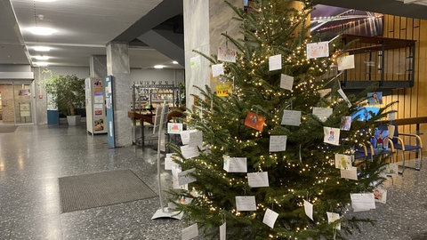 Zum zweiten Mal in Folge steht im Rathaus in Weil am Rhein ein Weihnachtswunschbaum.