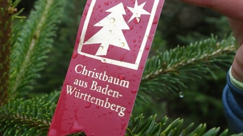 Auf dieses rote Label mit der Aufschrift "Christbaum aus Baden- Württemberg" kann beim Kaufen seines Weihnachtsbaums achten.