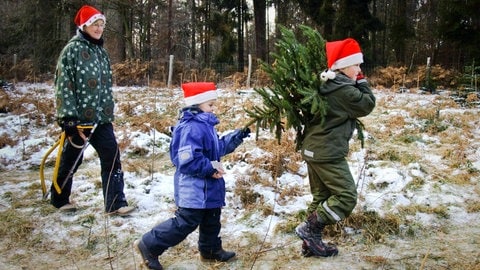 Man sieht zwei Kinder mit Nikolausmütze die einen Christbaum tragen, den sie vorher mit ihren Eltenr geschlagen haben. Der Vater trägt eine Säge in der Hand.