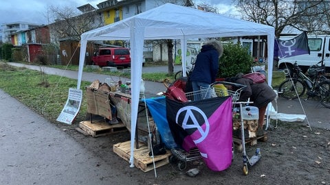 Im Freiburger Langmattenwäldchen gehen die Rodungen für den neuen Stadtteil Dietenbach weiter