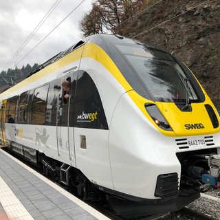 Symbolbild: Ein Zug der Elztalbahn steht in einem Bahnhof und Passagieren steigen ein.