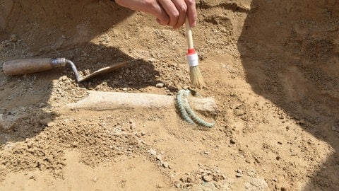 Ein Forscher legt bronzene Beinringe in einer keltischen Grabanlage frei