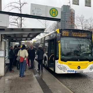 Ein neuer grenzüberschreitender Bus verbindet Lörrach direkt mit dem Euroairport in Mulhouse in Frankreich.