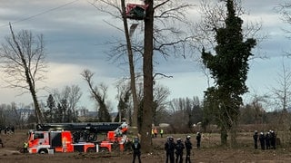 Auf dem Gelände des neuen Freiburger Stadtteils Dietenbach räumen Polizisten den letzten besetzen Baum