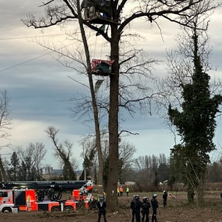 Auf dem Gelände des neuen Freiburger Stadtteils Dietenbach räumen Polizisten den letzten besetzen Baum