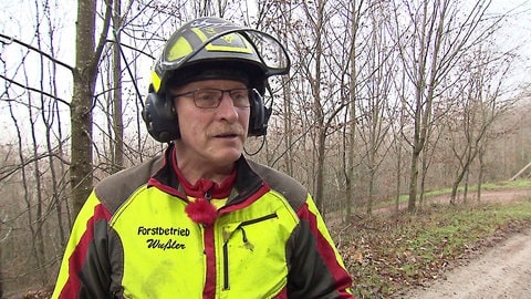 Privatwaldbesitzer Roland Wußler hat seinen Wald aufgeforstet