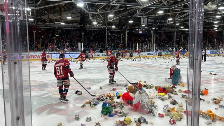 Beim EHC Freiburg haben Fans Teddybären geschmissen.