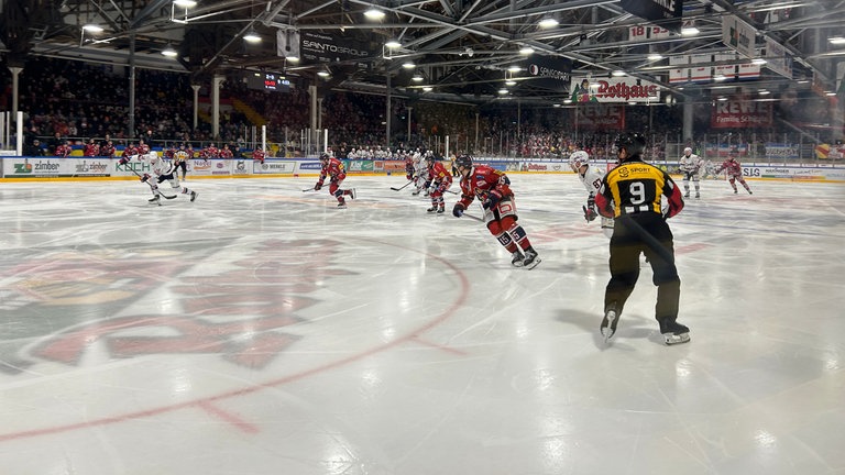 Beim EHC Freiburg haben Fans Teddybären geschmissen.