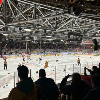 Beim EHC Freiburg haben Fans Teddybären geschmissen.