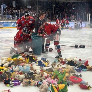 Beim EHC Freiburg haben Fans Teddybären geschmissen.