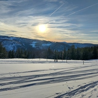 Winterlandschaft in der Sonne - Skifahrer haben ihre Spuren bereits hinterlassen