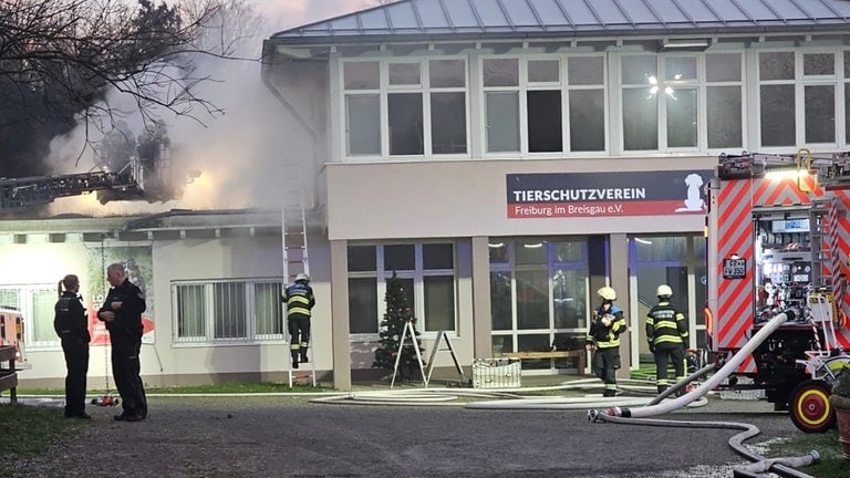 Rauch und ein Feuerwehrauto vor dem Tierheim des Freiburger Tierschutzvereins. Dort war am Neujahrsmorgen ein Feuer ausgebrochen.