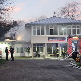 Rauch und ein Feuerwehrauto vor dem Tierheim des Freiburger Tierschutzvereins. Dort war am Neujahrsmorgen ein Feuer ausgebrochen.