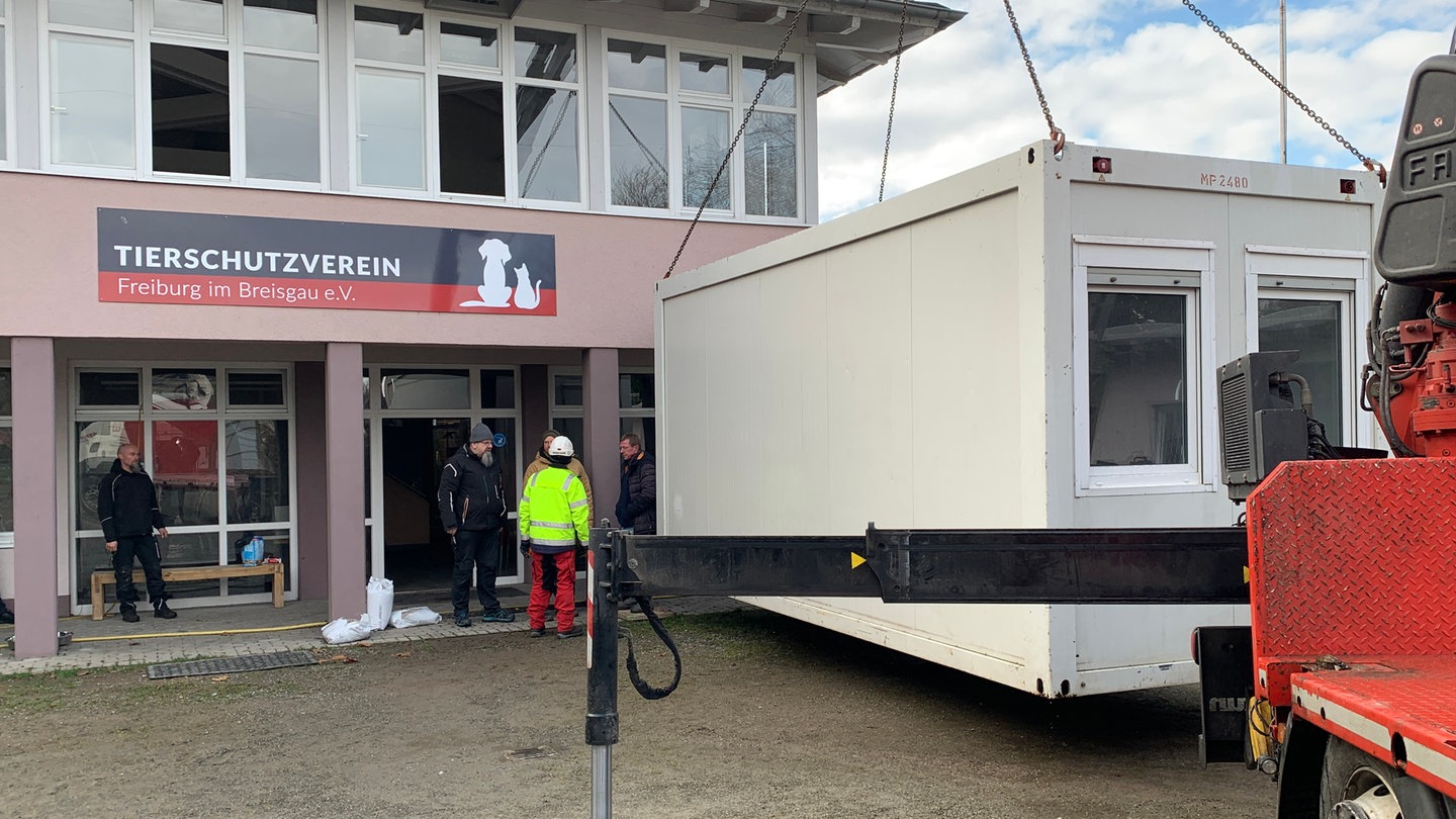 Ein weißer Container wird mit einem Kran vor dem Tierheim Freiburg abgestellt. Im Vordergrund sind noch Teile des Lkws zu sehen, hinter dem Container mehrere Menschen. Der Container soll die Küche ersetzen, die durch den Brand zerstört wurde.