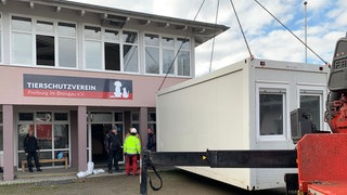 Ein weißer Container wird mit einem Kran vor dem Tierheim Freiburg abgestellt. Im Vordergrund sind noch Teile des Lkws zu sehen, hinter dem Container mehrere Menschen. Der Container soll die Küche ersetzen, die durch den Brand zerstört wurde.