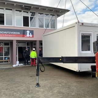 Ein weißer Container wird mit einem Kran vor dem Tierheim Freiburg abgestellt. Im Vordergrund sind noch Teile des Lkws zu sehen, hinter dem Container mehrere Menschen. Der Container soll die Küche ersetzen, die durch den Brand zerstört wurde.