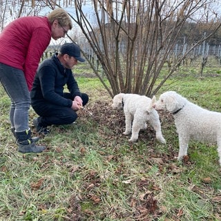 Elli und Heinrich Gretzmeier mit ihren Trüffelhunden Alba und Lotte im Tuniberg