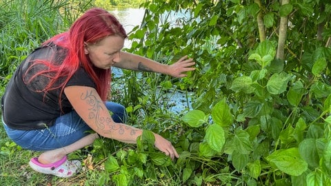 Jaqueline Dießner vom Tierschutzverein Horb e.V. sucht Pythons am Badesee. Am Tälesee in Empfingen, Kreis Freudenstadt, wurden weitere Tiere gefunden.