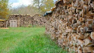 Holzstapel bei der Privatwaldtagung in Pfronstetten