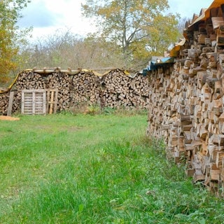 Holzstapel bei der Privatwaldtagung in Pfronstetten