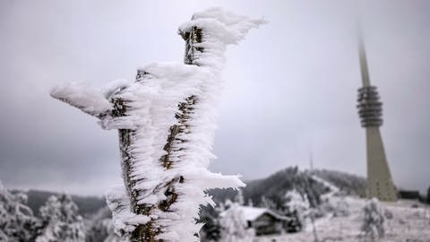 Schnee Schwarzwaldhochstraße Dezember 2022