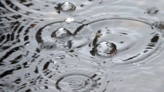 Regenwasser in Städten besser nutzen