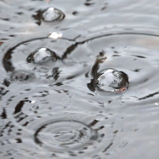 Regenwasser in Städten besser nutzen