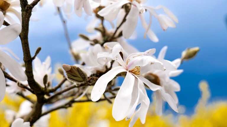 Start in den Frühling