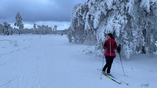 In den Wäldern rund um Freudenstadt herrscht akute Schneebruchgefahr