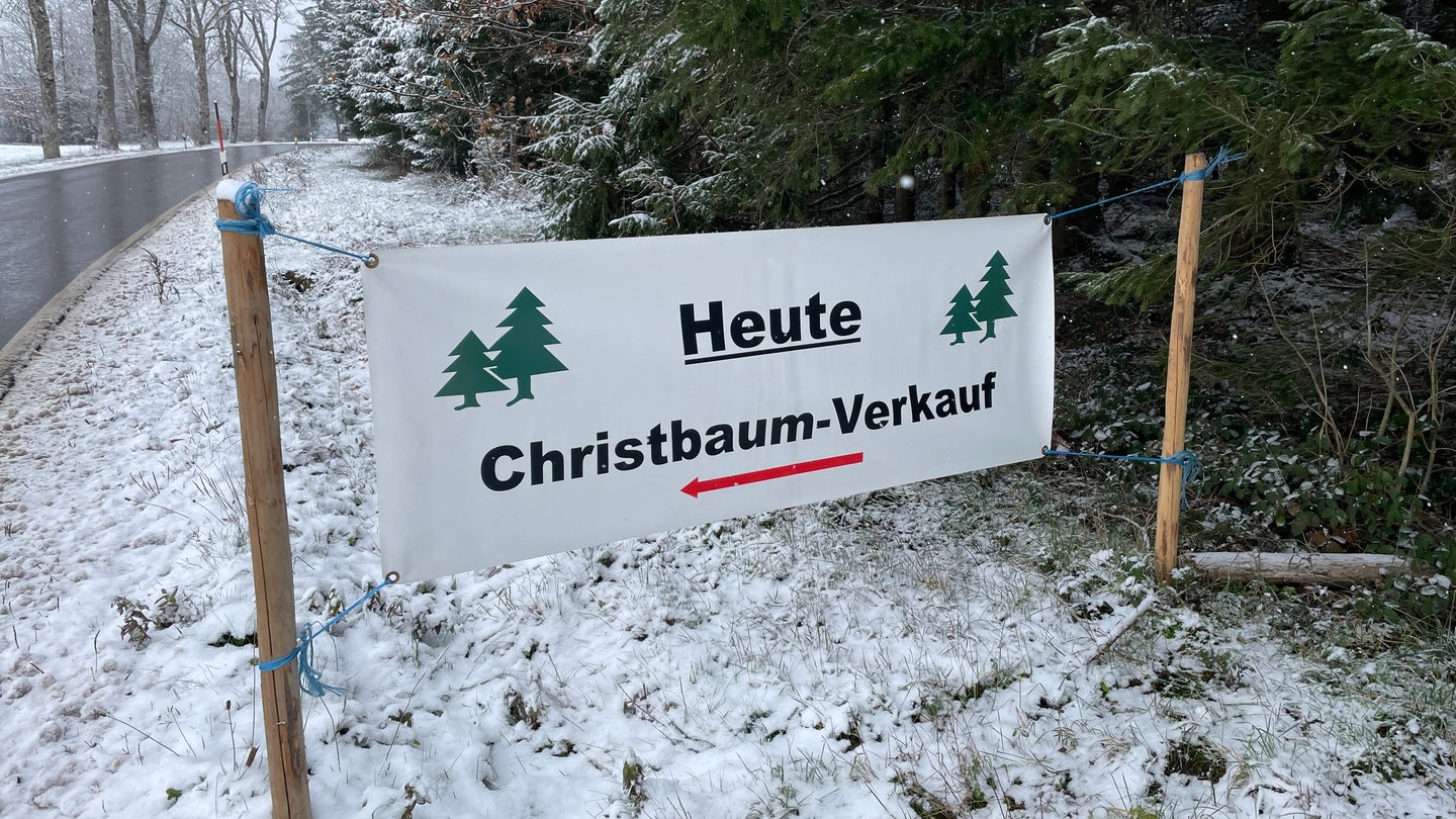 Christbaumschlagen im Nordschwarzwald