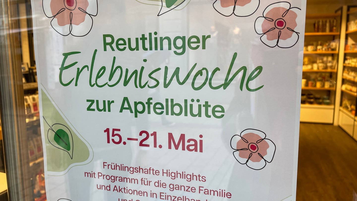 Erlebniswoche Apfelblüte