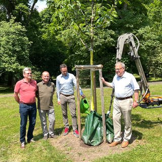 Reutlingens Oberbürgermeister Thomas Keck (SPD) und Mitglieder der "Initiative lebenswerte Oststadt" an einem frisch gepflanzten Baum