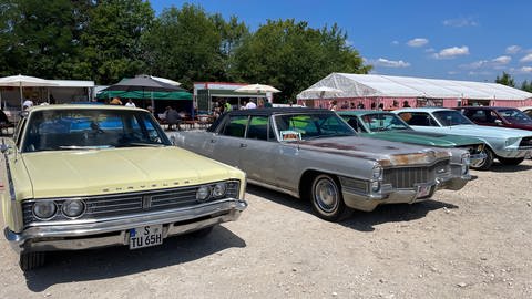 Beim US-Cars und Harley-Treffen in Metzingen kamen viele Liebhaber aus Baden-Württemberg und darüber hinaus, um amerikanische Autos und Motorräder zu bestaunen. Die frisch polierten Oldtimer sind echte Hingucker. Sie schlucken bis zu 20 Liter Benzin pro 100 Kilometer.