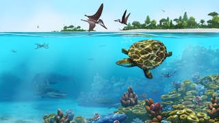 Lebensraum der Wasserschildkröte vor 150 Millionen Jahren