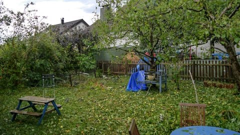 Schäden in einem Garten nach Hagel am 28.07.2013