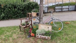 Vor einem Baum steht viel Blumenschmuck und ein altes Fahrrad