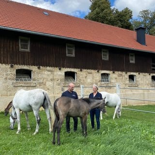 Haupt- und Landesgestüt Marbach