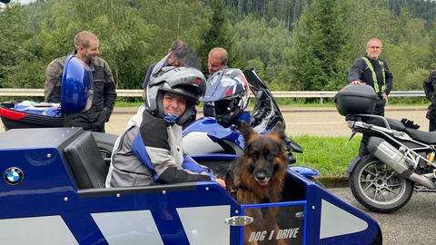 Hund und Mensch im Seitenwagen eines Motorrads